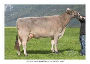 20161212  Florins Jongleur FLEUR CH 120.0932.7925.0 13x18